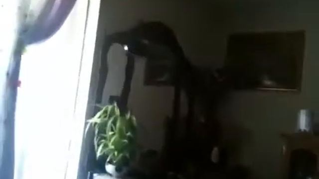 rc apache helicopter смотреть онлайн