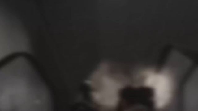 АД НА РАЗВЯЗКЕ И ПЕРЕКУС ТАРКОВЧАНИНА смотреть онлайн