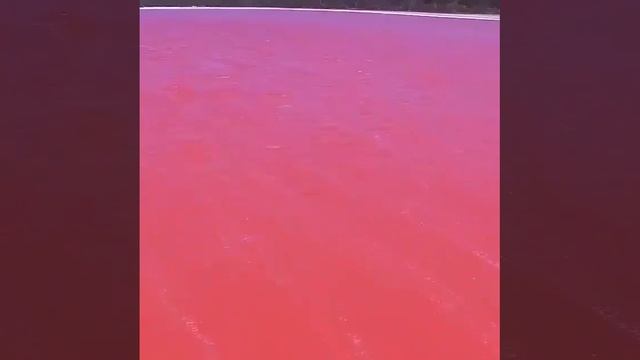 Необычное озеро поражает своим розовым цветом смотреть онлайн