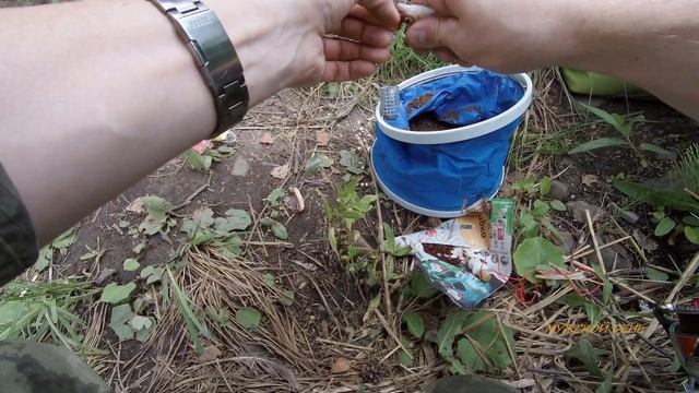 озеро Балтым/ 4 кг /чебак и подлещик на засолку смотреть онлайн