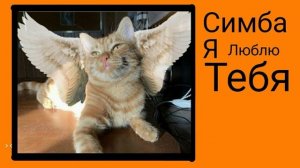 Симба я люблю тебя! (жалко Симбу?) (песня симбочки)