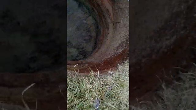 Углубление в грунте для септика