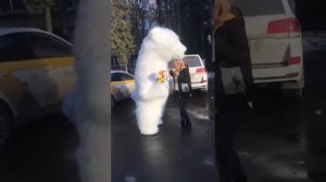 Ростовая кукла белый медведь