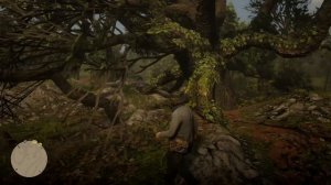 Red Dead Redemption 2 | Убийца: 1-я часть подсказки. Местонахождение. ПАСХАЛКА