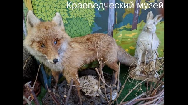 Калязин, Мышкин, Углич, посещение музеев смотреть онлайн