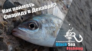 Как поймать Смариду в Декабре! Rockfishing на Черном Море
