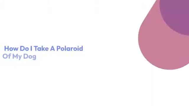 How To Take A Good Polaroid Picture смотреть онлайн