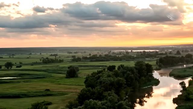 Сильно заболев она с приключениями добралась до больницы. И что произошло с ней дальше удивило даже смотреть онлайн