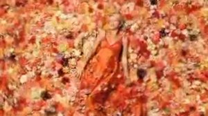 Taylor Swift - Our Song