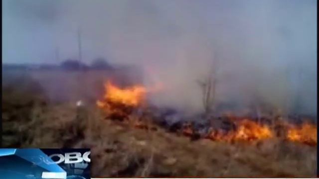 Пожароопасный сезон на Смоленщине установлен 21 марта смотреть онлайн