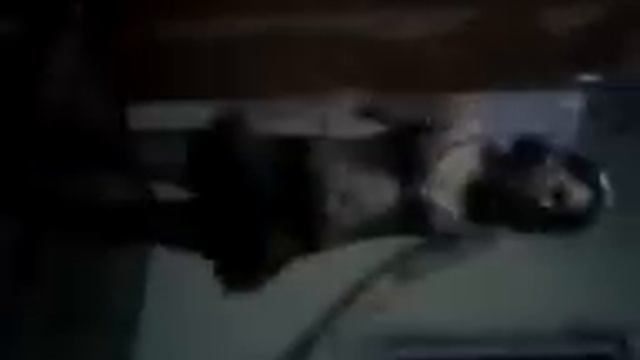 Huruiesti...cea mai tare dansatoare:)) смотреть онлайн