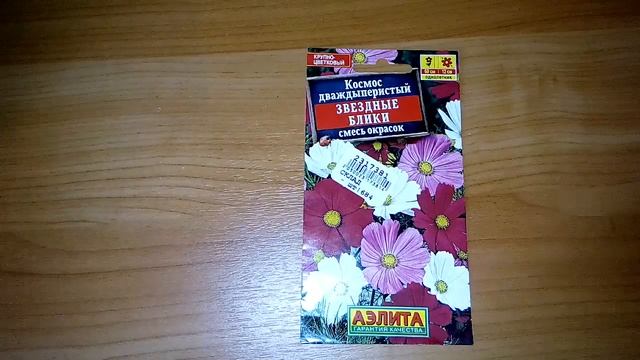 Космос дваждыперистый , звёздные блики, смесь окрасок - ознакомление смотреть онлайн