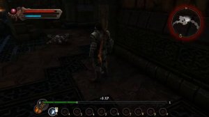 [ОБЗОР] Kingdoms Of Amalur Re-Reckoning: возвращение самой недооцененной РПГ десятилетия?