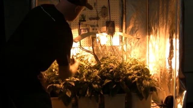 Sunlight Supply Presents: Adjust-A-Wings - How to create "seasonal" settings for optimal performanc смотреть онлайн