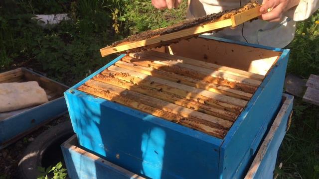 Семьи Воспитательницы, как лучше их подготовить? смотреть онлайн