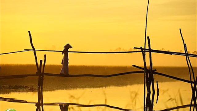 Hinh bong que nha Tong Khanh Linh смотреть онлайн