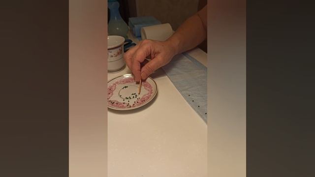 Посадка репчатого лука дома, на рассаду. смотреть онлайн