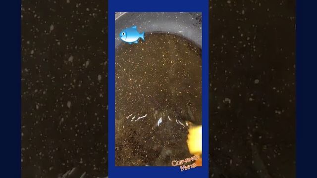 Сегодня на Ужин у меня Черноморская Кефаль ?Жарю на Сковороде смотреть онлайн