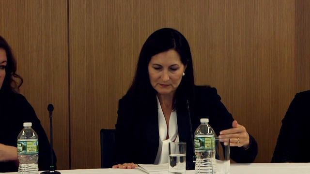 Mayer Brown's Lisa Ferri Part 1 - Visible Difference: Reversing the Trend of Women Leaving Law смотреть онлайн