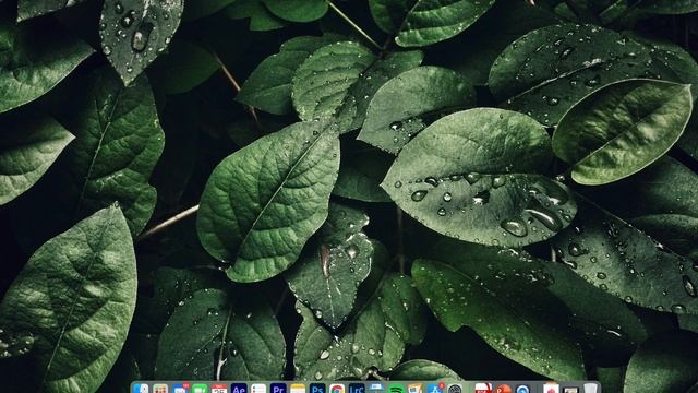 lightroom keeps crashing 2020 mac смотреть онлайн