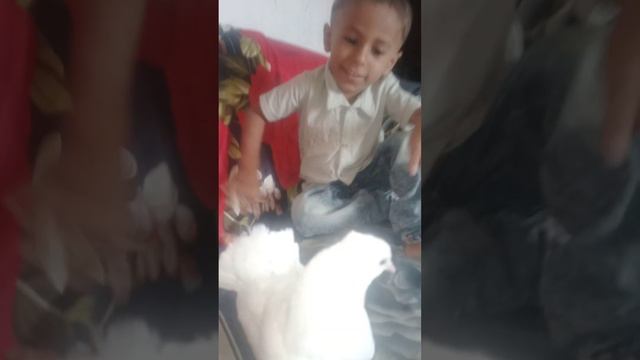 is bacche ki baten to sunane #viral#funny #vlog #youtube смотреть онлайн