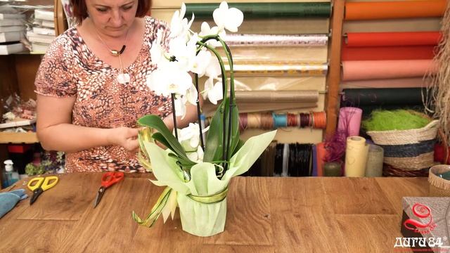 Как да направим букет от орхидея Фелаенопсис за подарък