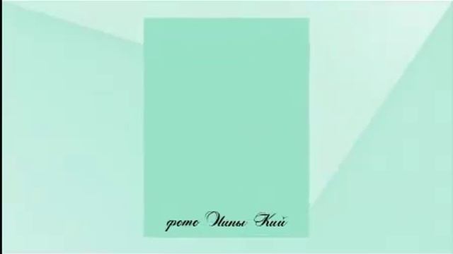 Чихать нам на Таити или Дары фазенды смотреть онлайн