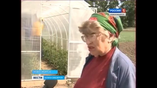 Валентина Губко о теплице Кормилица Умница смотреть онлайн