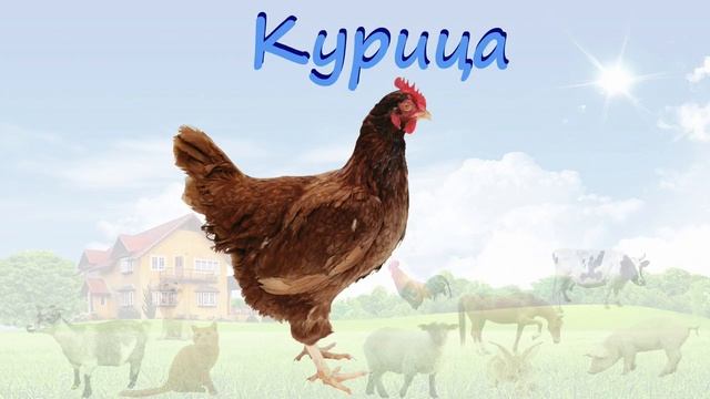 Развивающий мультик - Домашние животные и их голоса! Развитие детей от 1 года смотреть онлайн