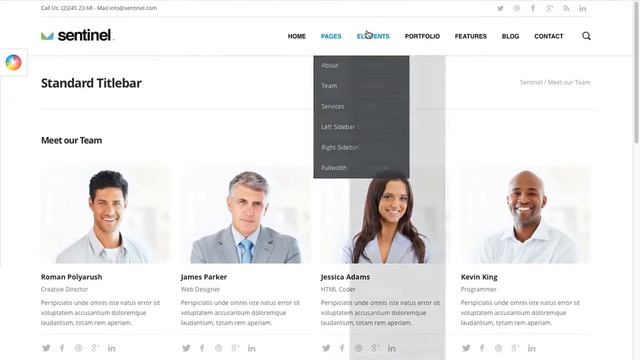 Download 'Sentinel' Responsive Multi-Purpose Wordpress Theme смотреть онлайн