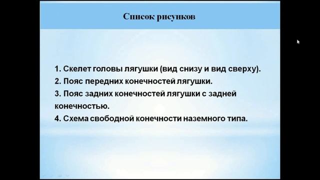Скелет амфибий. Часть 1 смотреть онлайн