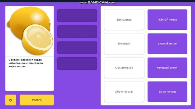 Mars algoritmika.az. Класс 2. Модуль 1 Введение в ИКТ Урок 3 Виды информации А смотреть онлайн