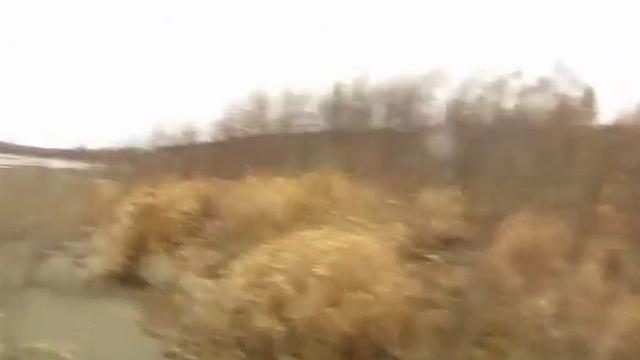 Поиски Чары 29.10.18г. - 1ч. смотреть онлайн