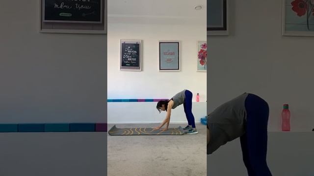 выход в планку с отжимание смотреть онлайн