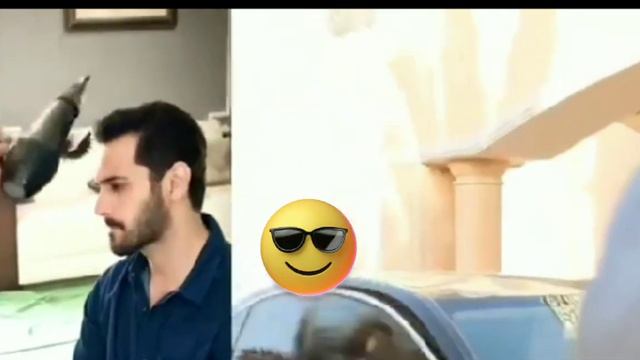 OMG 😂 Mein Last Day Wahaj Ali Dance 😂 Ayezha Khan Pizza Party - Mein Last Episode смотреть онлайн