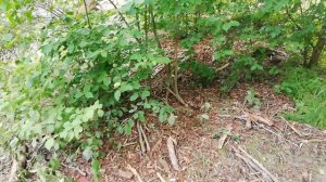 Река Нальчик после сильного дождя. Кабардино-Балкария 29 мая 2023 года