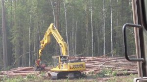 Вырубка, разделка и вывозка леса