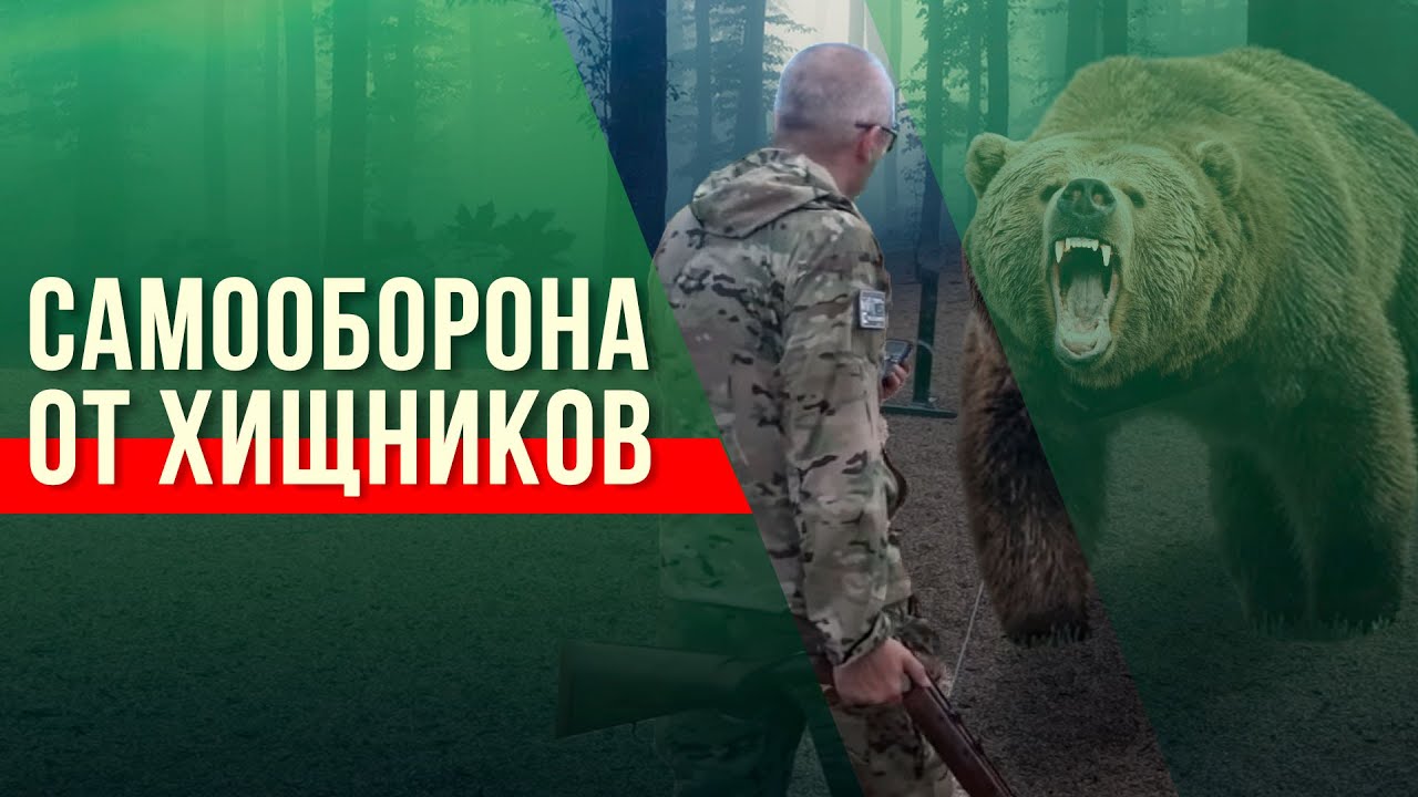 Самооборона от хищников смотреть онлайн