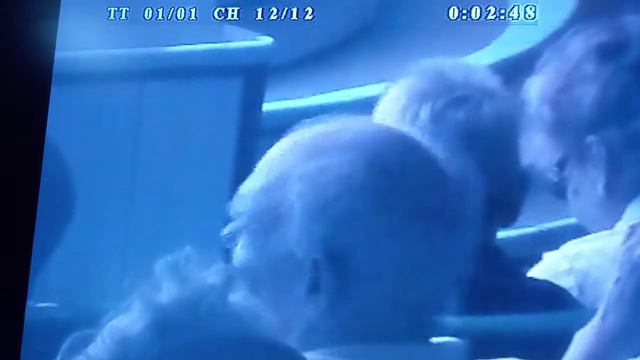 4211гВесенняя прогулка и Мой рок-н-ролл Василий Коваленко смотреть онлайн