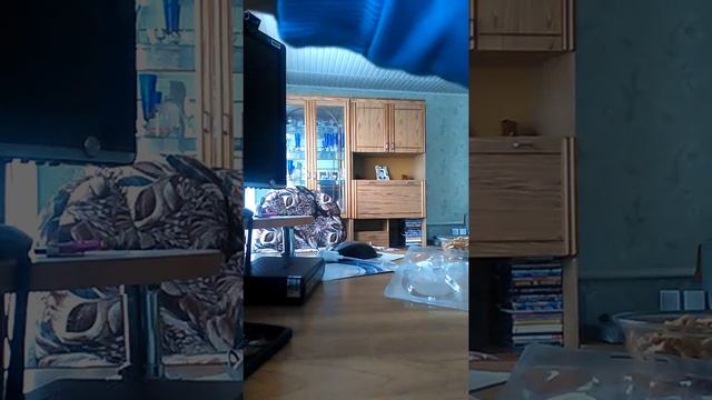 Фокус покус ; и распаковки покупок из магазина Fix Price смотреть онлайн