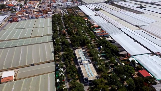 Camping Don Cactus смотреть онлайн