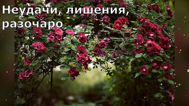 Есть особенные люди смотреть онлайн