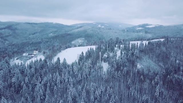 Blues__Maria_Daines_-_That_s_What_The_Blues_Is_All_About.MP4 смотреть онлайн