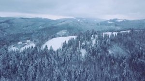 Blues__Maria_Daines_-_That_s_What_The_Blues_Is_All_About.MP4