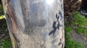 Мой опыт выращивания роз в горшках???На что обратить внимание при выращивании роз в горшках.