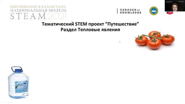 STEAM-проекты в программе Международного бакалавриата (IB) смотреть онлайн