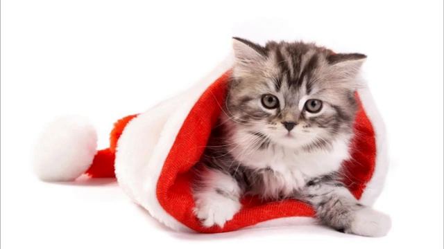 Christmas Carols 2022 ? Top Christmas Songs ? Christmas Music Playlist смотреть онлайн