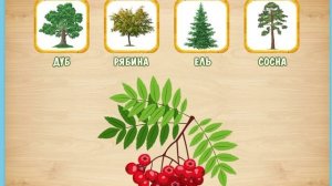 Развивающий мультик для ребенка. Изучаем листья деревьев. Какому дереву принадлежит лист