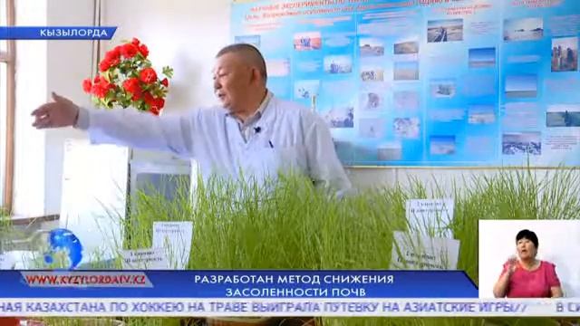 РАЗРАБОТАН МЕТОД СНИЖЕНИЯ ЗАСОЛЕННОСТИ ПОЧВ смотреть онлайн