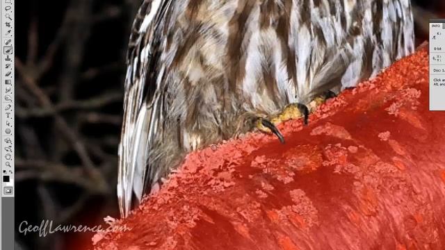 Using the Quick Mask in Photoshop and Photoshop Editing смотреть онлайн